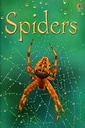 Spiders (Beginners)