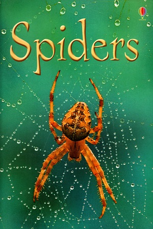 [9780746074794] Spiders (Beginners)