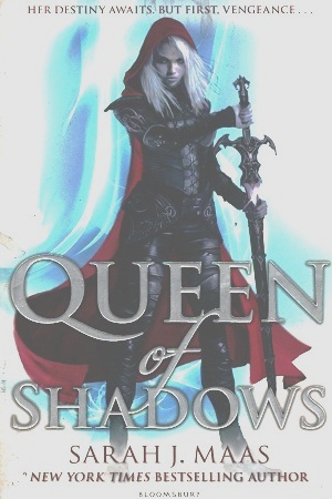 [9781408888209] Queen of Shadows