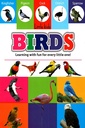 Little Kids: Birds - Learning with fun for every little one!