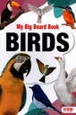 My Big Board Book: Birds