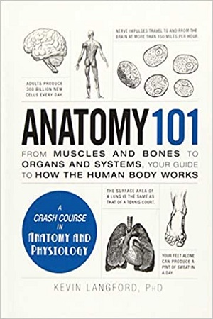 [9781440584268] Anatomy 101