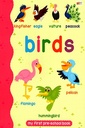 My First Pre-School Book: Birds
