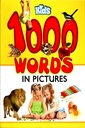 kids 1000 Words In Pictures
