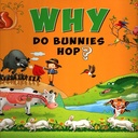 Why Do Bunnies Hop?