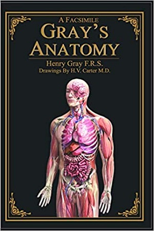 [9789350334300] A Facsimile Gray's Anatomy
