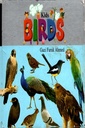 Kids Birds