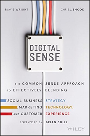 [9788126569427] Digital Sense: The Common Sense Approach to Effectively Blending Social Business Strategy, Marketing Technology, and Customer Experience