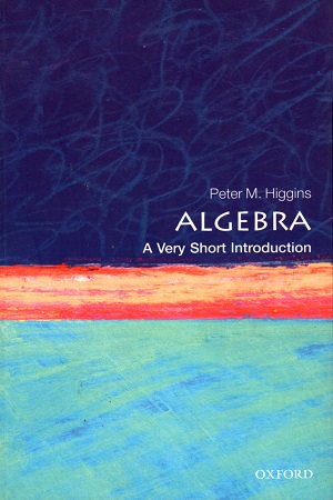 [9780198732822] A Very Short Introduction : Algebra