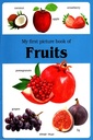 My First Picture Book Of Fruits
