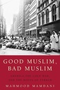 Good Muslim, Bad Muslim