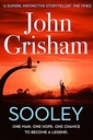 Sooley The Gripping New Bestseller from John Grisham