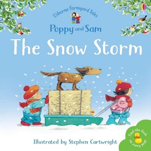 [9780746063118] The Snow Storm