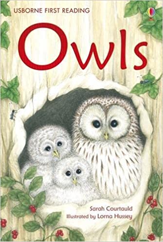 [9781409505792] Owls - Level 4