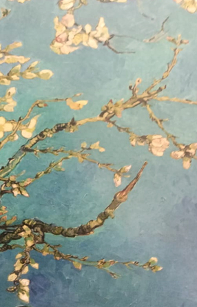[7596700000004] নোটবুক - Almond Blossoms