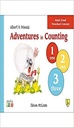 Adventures in the Counting