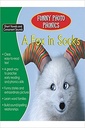 Funny Photo Phonics A Fox in Socks