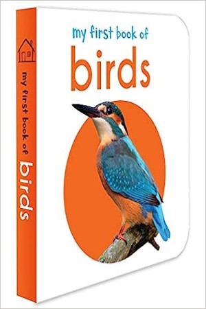 [9789386538475] My First Book of Birds