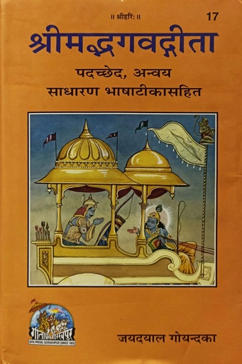 [8133700000000] Shrimad Bhagwat Gita -17 (Hindi)