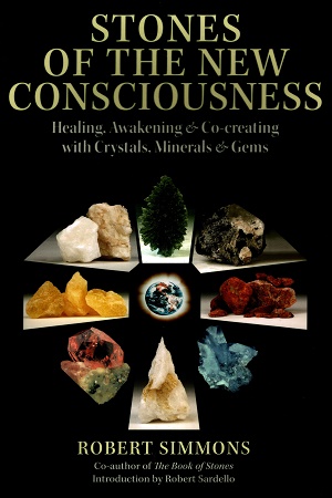 [9781644113844] Stones Of The New Consciousness